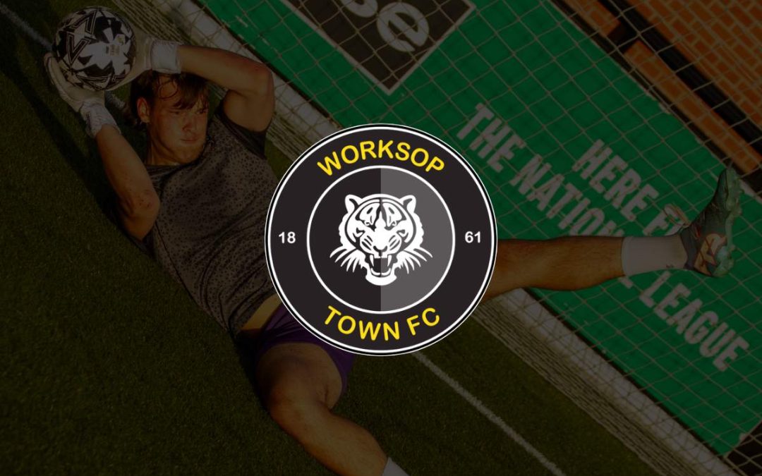 Case Study: Combining Elite Football with Academic Goals